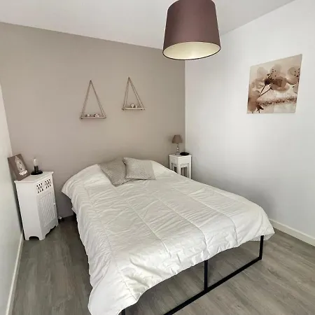 Maison Moderne A 500m De La Plage Avec Jardin, Wifi Et Garage, 6 Couchages - - Fr-1-231-231